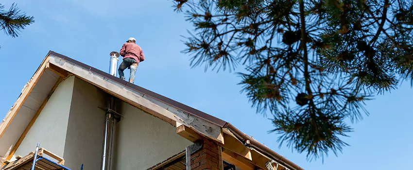 Birds Removal Contractors from Chimney in Fairfield, CA